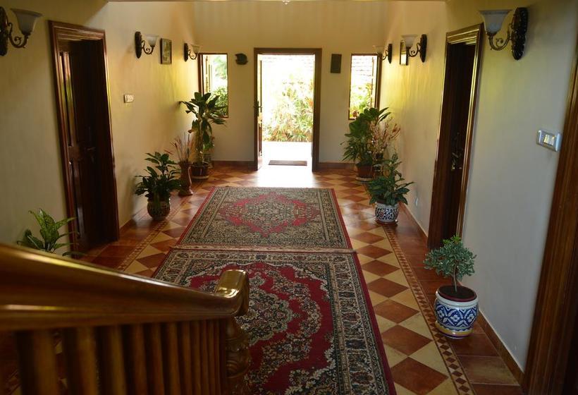 Palm Grove Cottages Leisure Resort 4