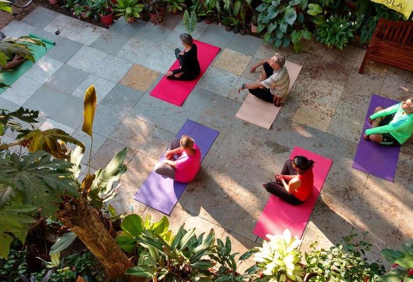 Palm Grove Cottages Leisure Resort 5