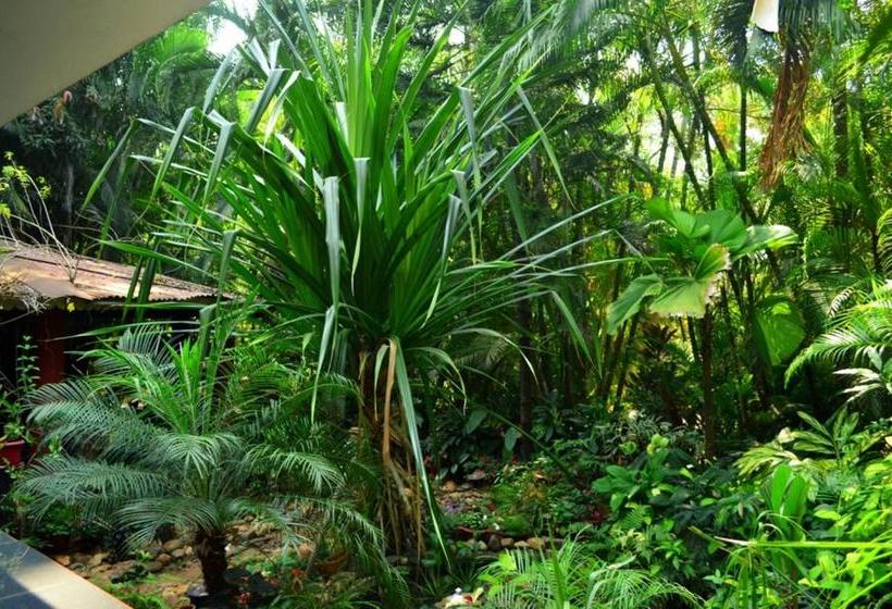 Palm Grove Cottages Leisure Resort 6