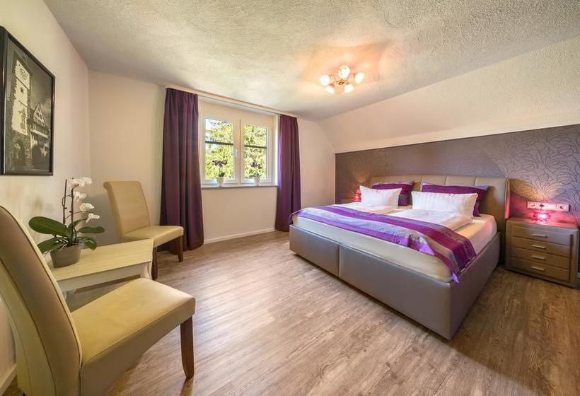 Hotel Schöneck Garni 11