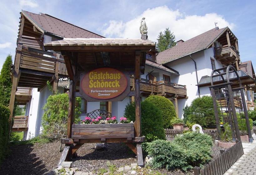 Hotel Schöneck Garni 19
