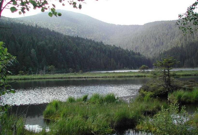 Hotel Bio Sportpension 10