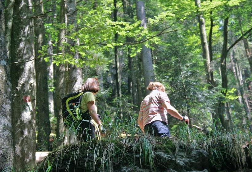 Hotel Bio Sportpension 11