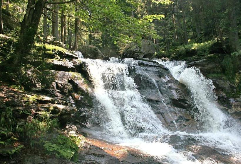 Hotel Bio Sportpension 12