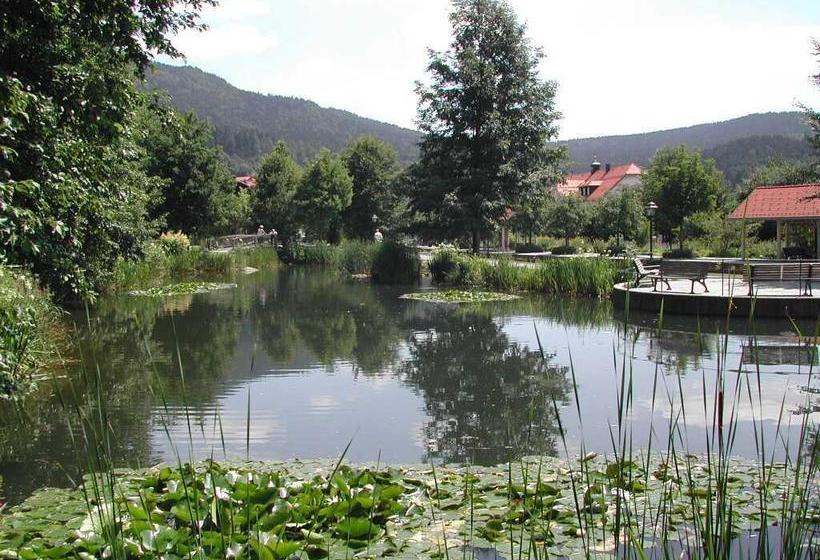 Hotel Bio Sportpension 5