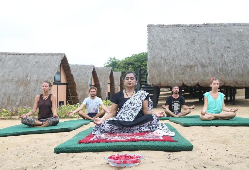 Golven Beach Resort Vengurla 14