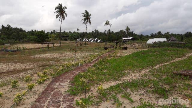 Golven Beach Resort Vengurla 8