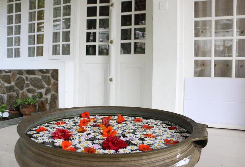 Bed and Breakfast Mount Pleasant Boutique Stay 10