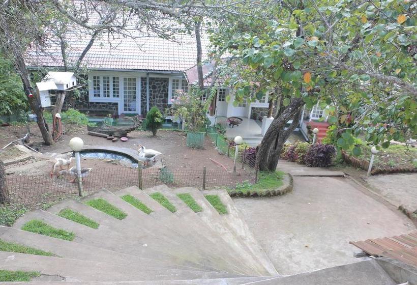 Bed and Breakfast Mount Pleasant Boutique Stay 13