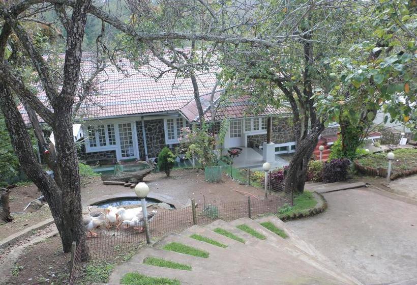 Bed and Breakfast Mount Pleasant Boutique Stay 14