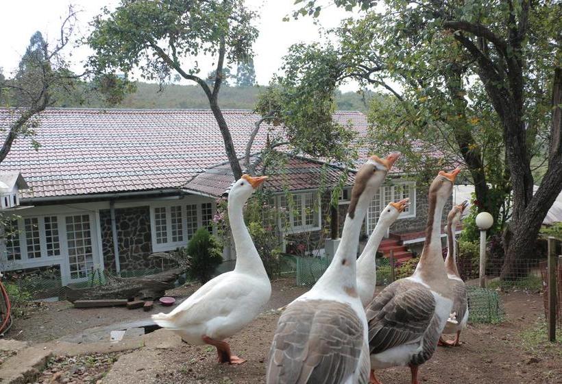 Bed and Breakfast Mount Pleasant Boutique Stay 15