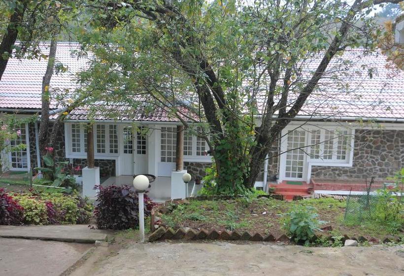 Bed and Breakfast Mount Pleasant Boutique Stay 16