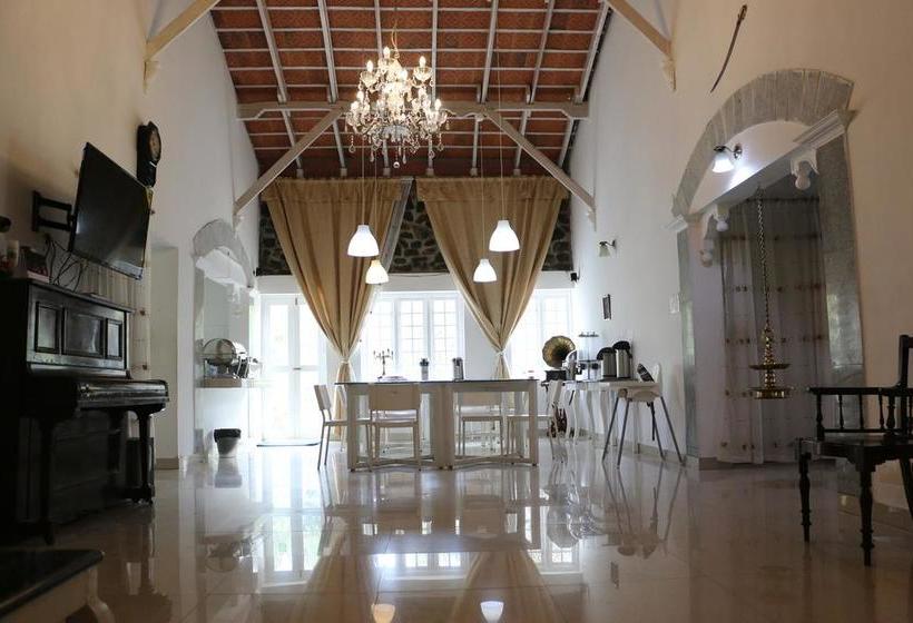 Bed and Breakfast Mount Pleasant Boutique Stay 4