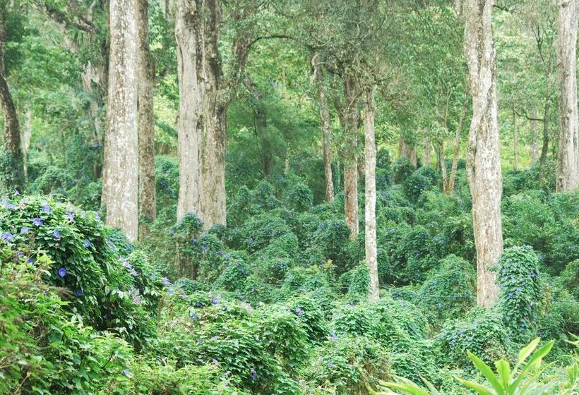 Resort T Cherry Villa 1