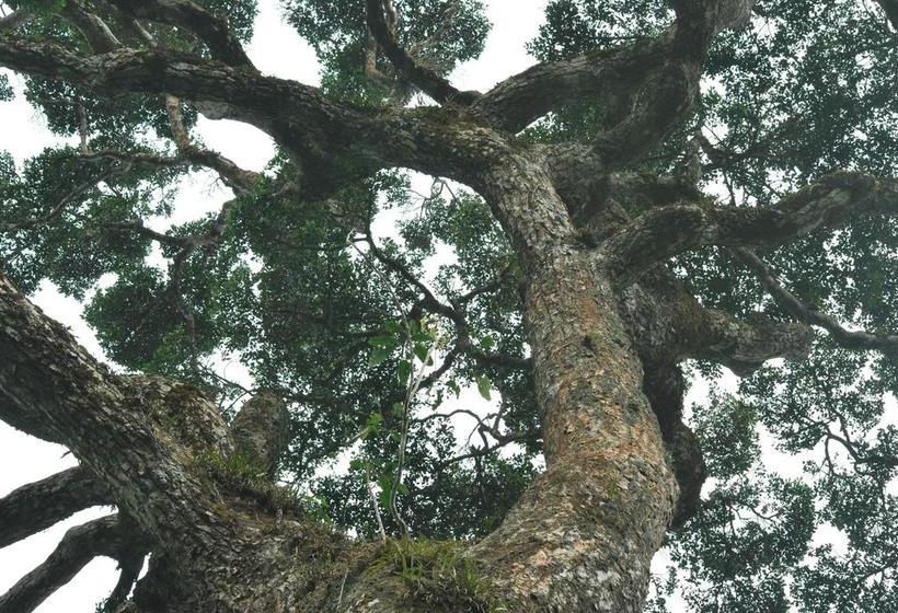 Resort T Cherry Villa 2