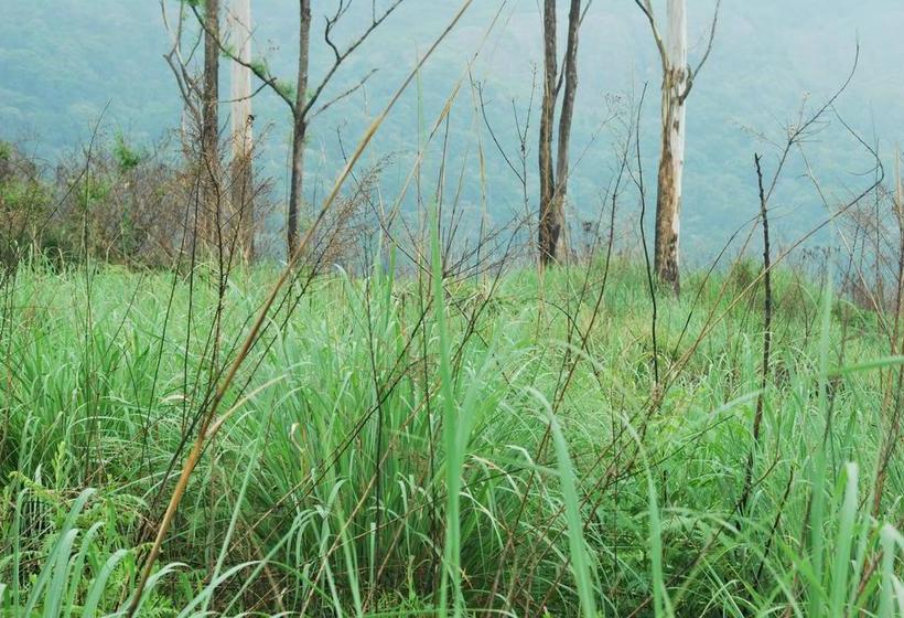 Resort T Cherry Villa 4