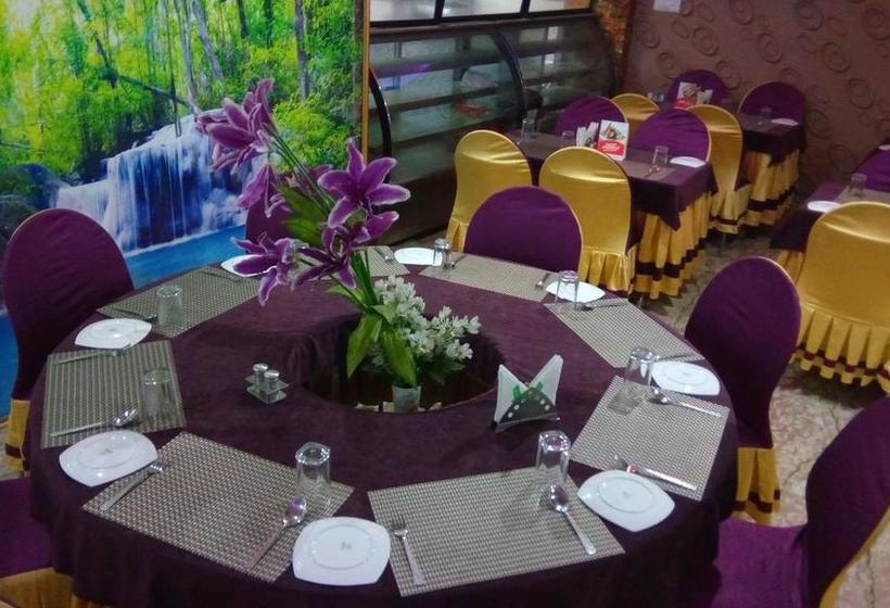 Hotel N.s.international 11