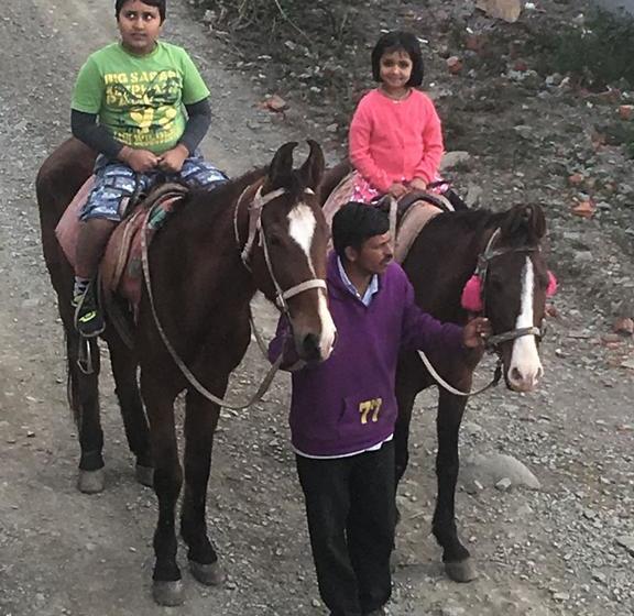 Hotel Lake Pleasant Cottage 16