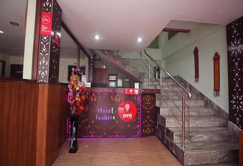 Oyo 7431 Hotel Tushita 2
