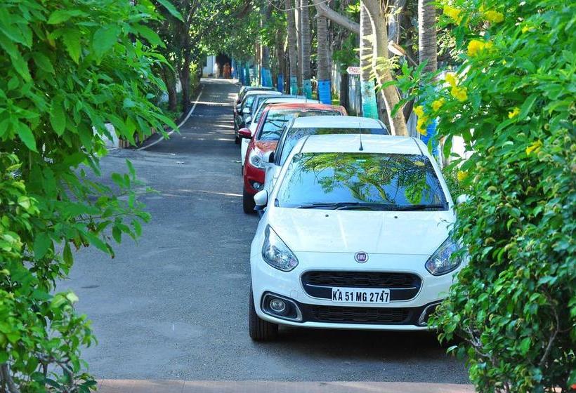 Shelter Beach Resort 10