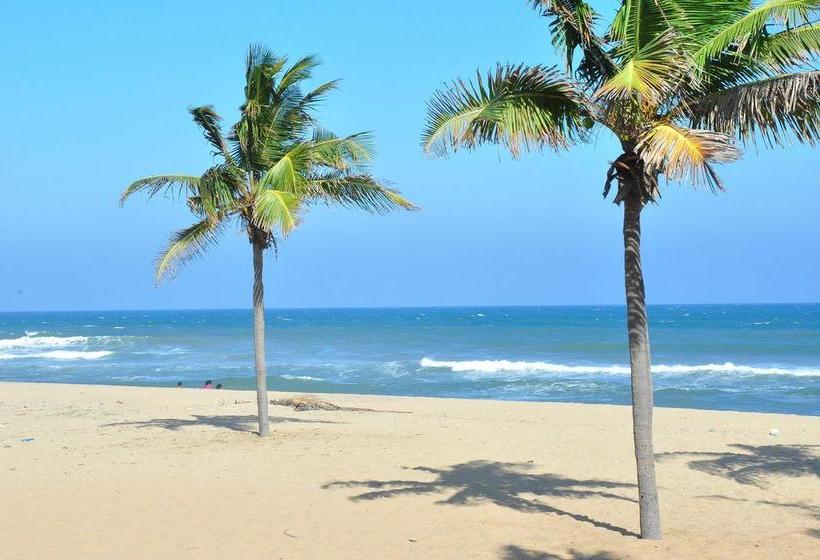 Shelter Beach Resort 11