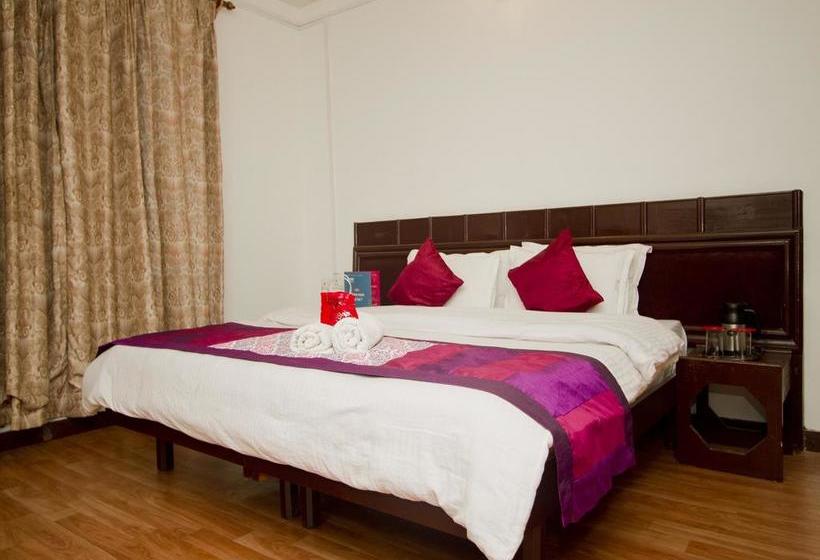 Oyo 3506 Hotel Him Shakti 1