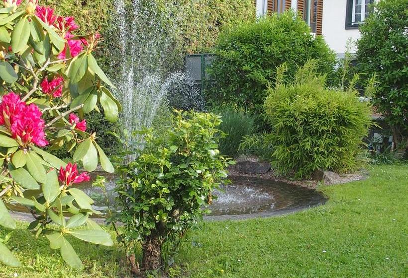 Hotel Pension Café Hasler 15