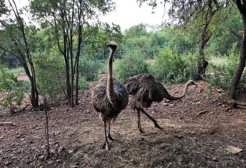 Bed and Breakfast Concordiavoc 3