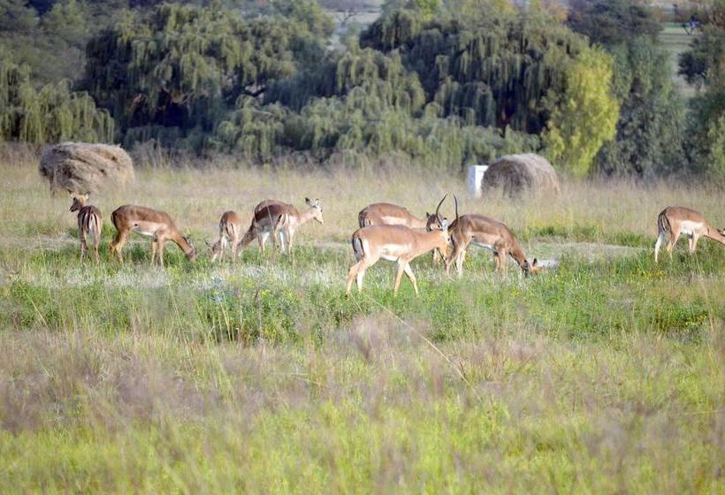 Bed and Breakfast Village Lodge Vaal De Grace 19