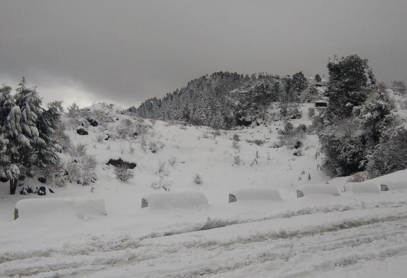 Hotel Himalaya View 5