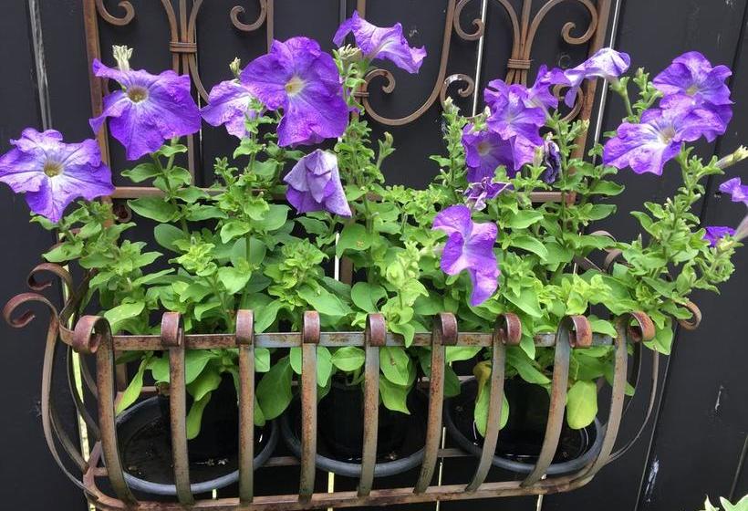 Private Deluxe Apartment At The Chester B&b 12