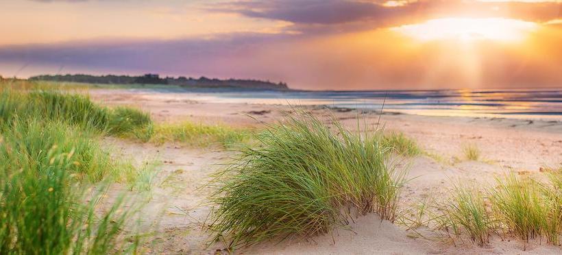 Hotel Upstalsboom Wellness Resort Südstrand 3