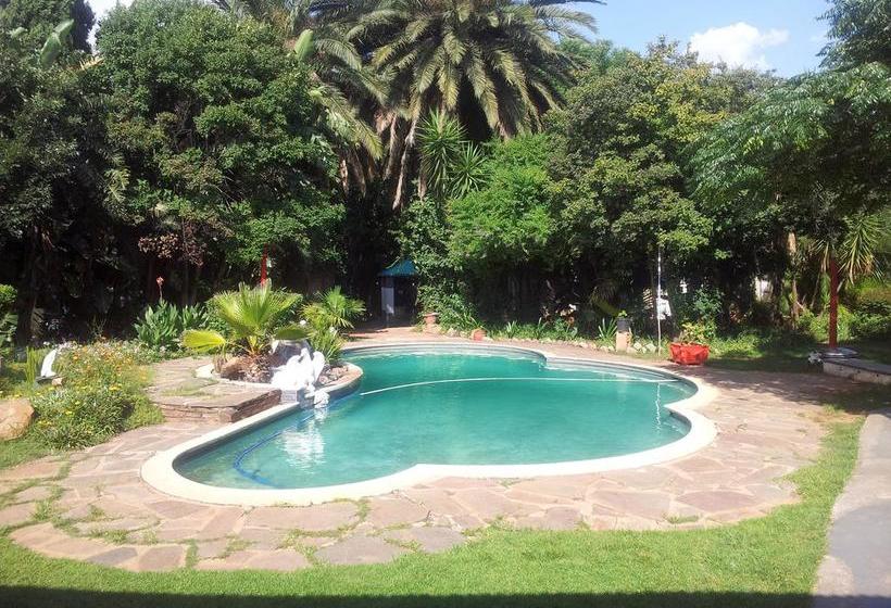 Ostello Gemini Backpackers Lodge 12