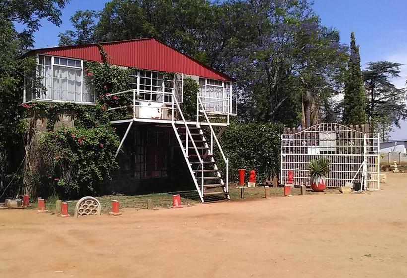 Ostello Gemini Backpackers Lodge 3