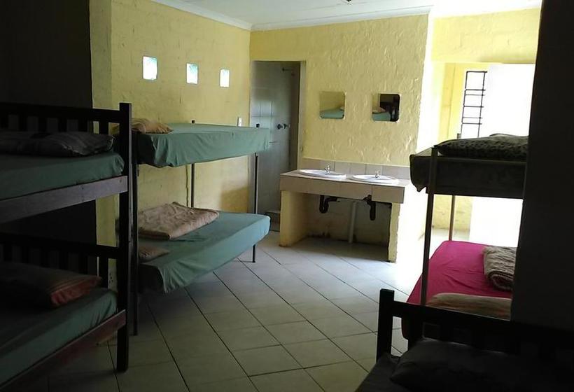 Ostello Gemini Backpackers Lodge 5