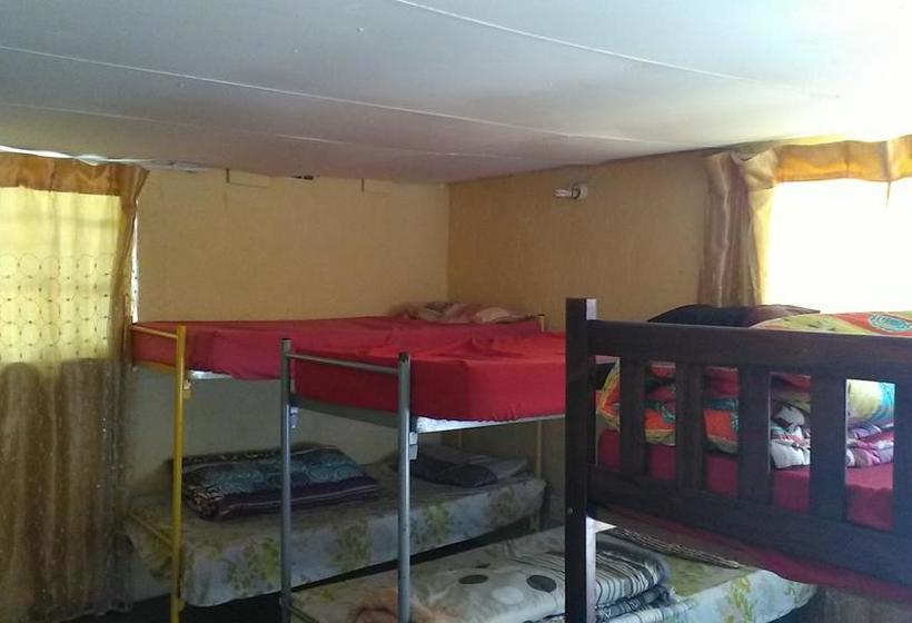 Ostello Gemini Backpackers Lodge 6