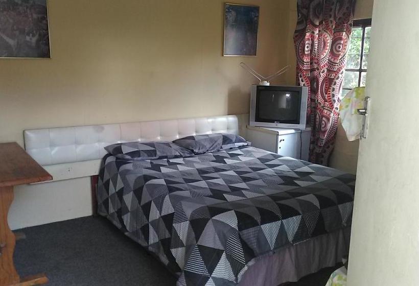 Ostello Gemini Backpackers Lodge 8