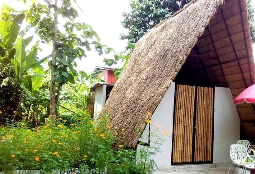 Resort Mulberry Pang Sita