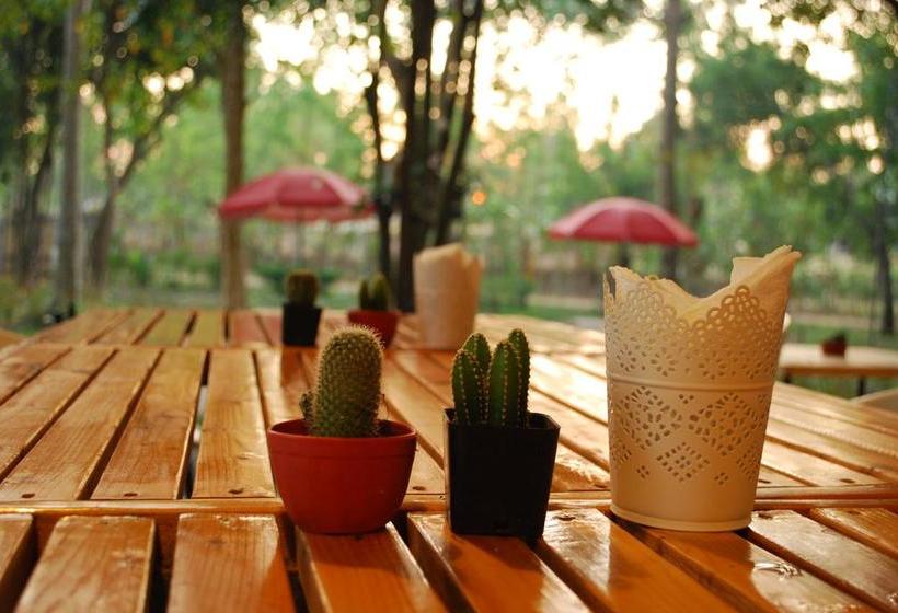 Resort Mulberry Pang Sita 11