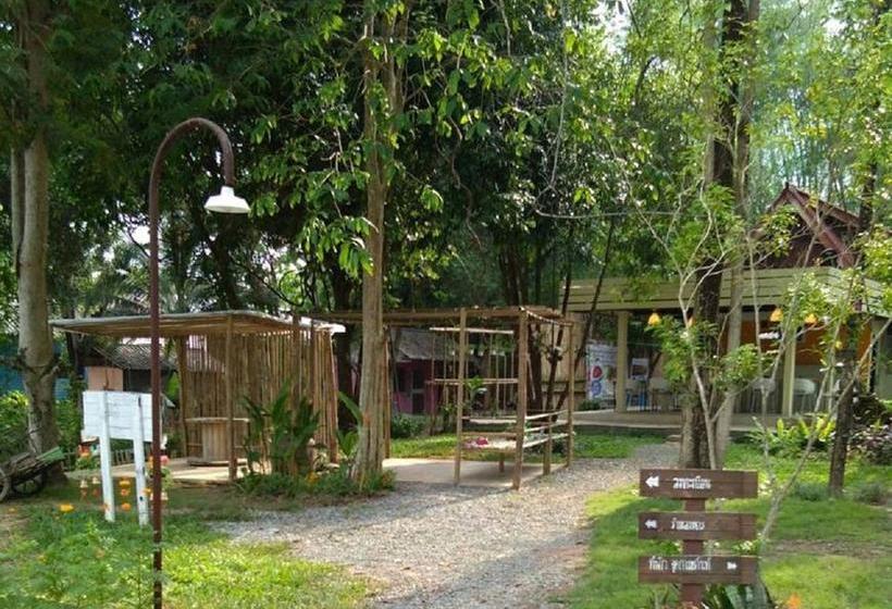 Resort Mulberry Pang Sita 13