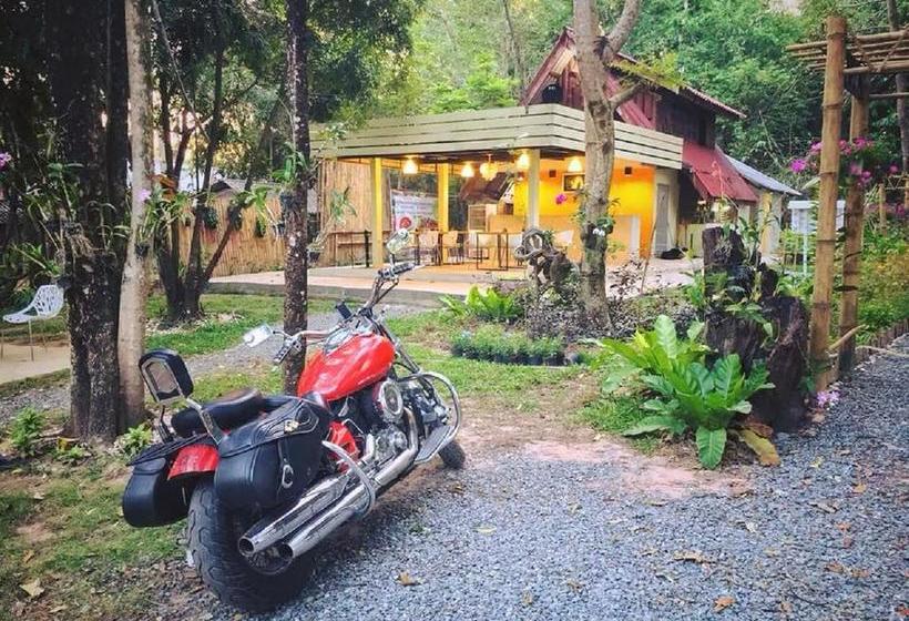 Resort Mulberry Pang Sita 8