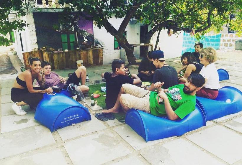 Hostel Green Rover 13