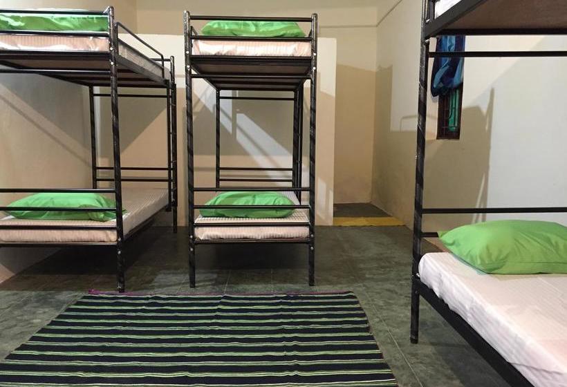 Hostel Green Rover 14