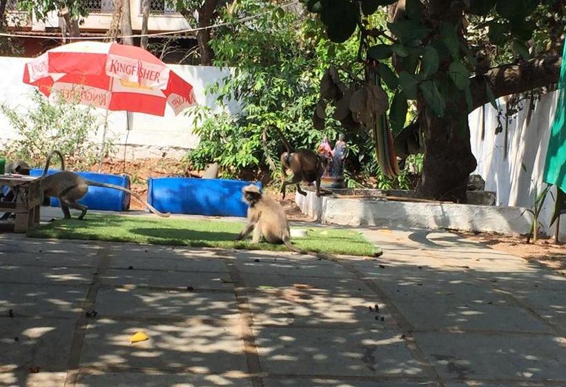 Hostel Green Rover 18