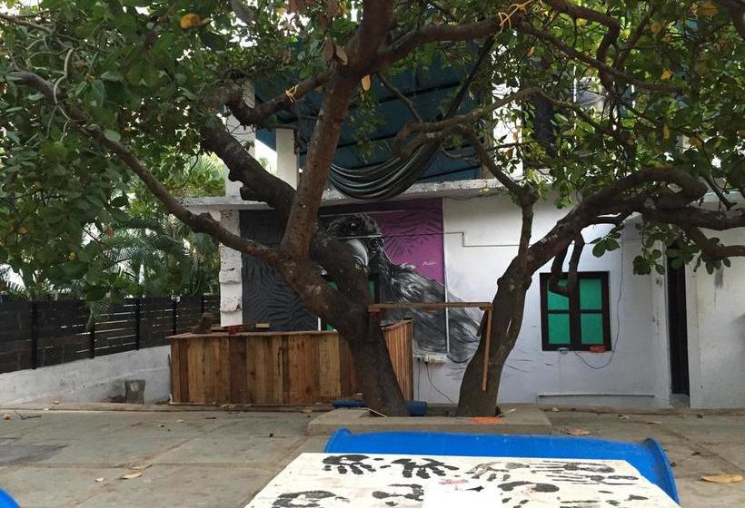 Hostel Green Rover 20