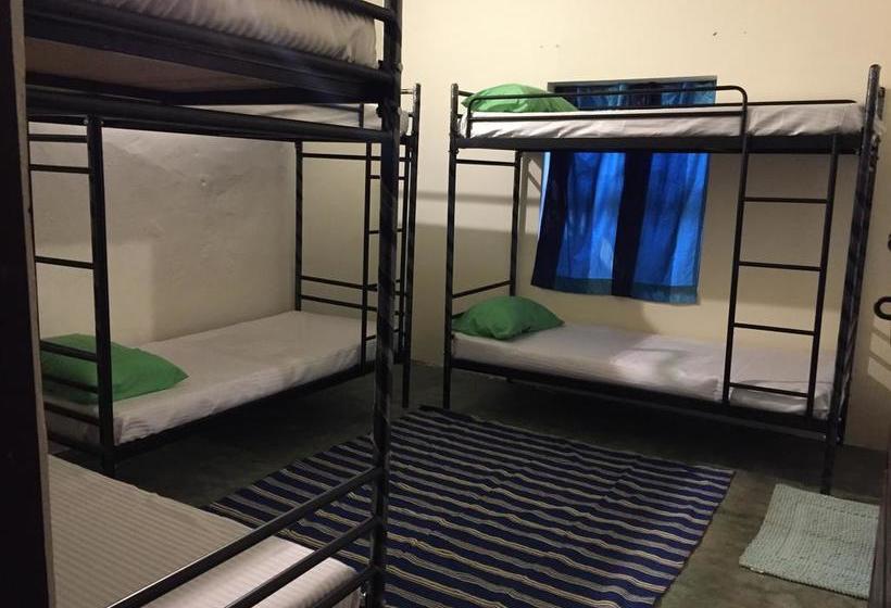 Hostel Green Rover 4