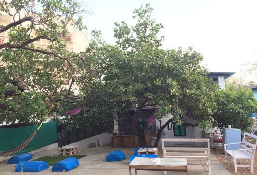 Hostel Green Rover 9