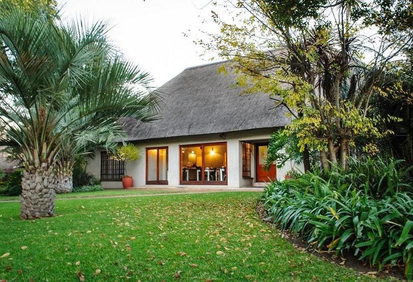 Hotel Safari Club Gauteng