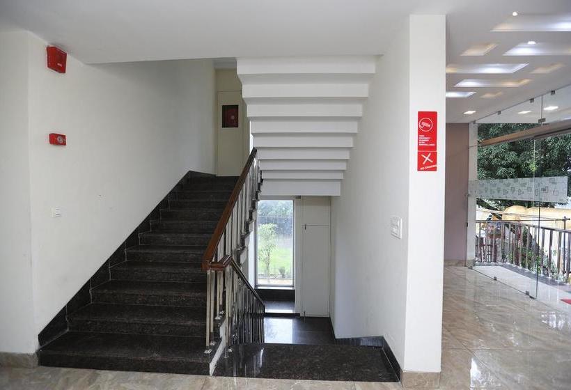 Hotel Oyo 9667 Sashtrdhara Road 6