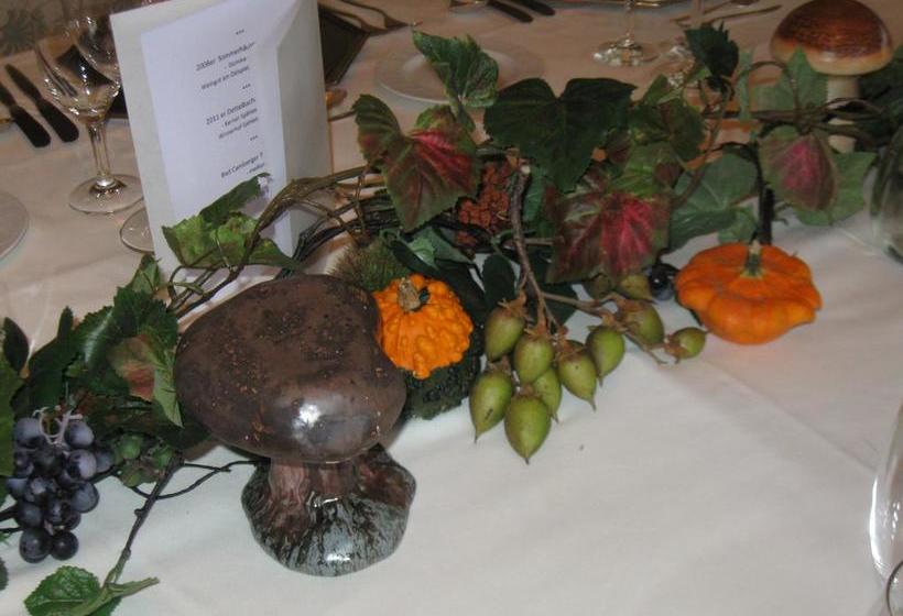 Hotel Restaurant Lindenhof 18